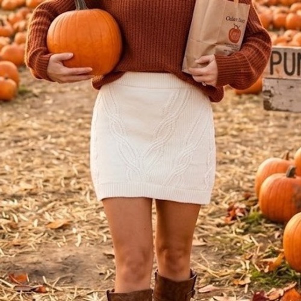 Maeve by Anthropologie Cable Knit Mini Skirt